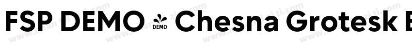 FSP DEMO - Chesna Grotesk Bold字体转换